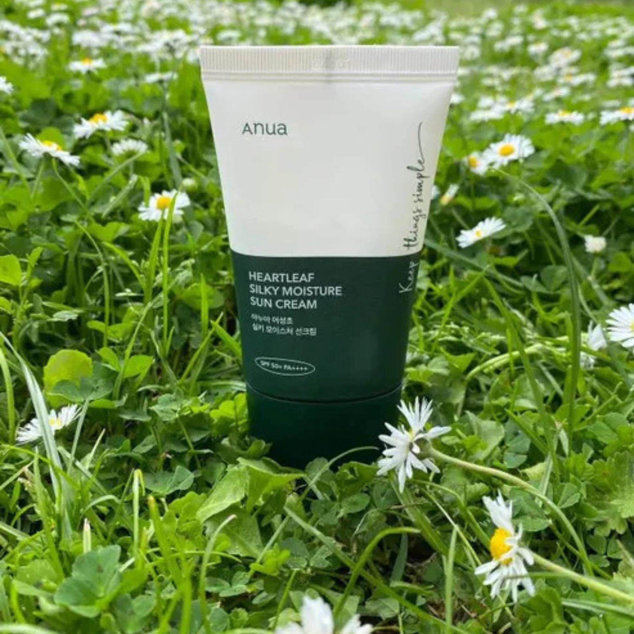 Suncream SPF50 PA+ (Original)